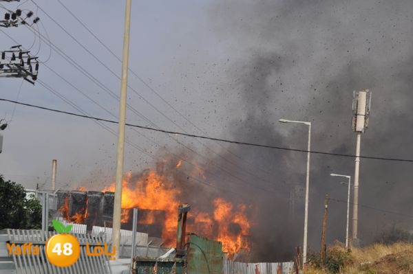 fireludkartoonmasna34 (24).JPG